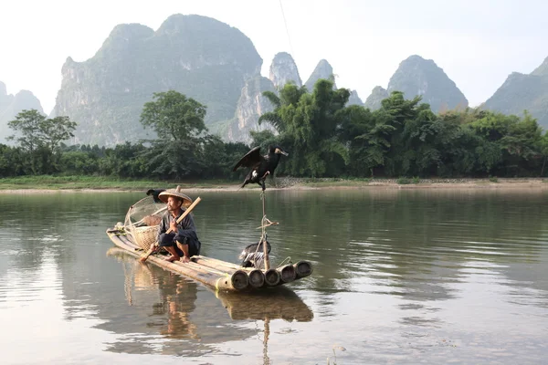 Yangshuo - 18 czerwca: Chiński człowiek połowów z ptaków kormorany — Zdjęcie stockowe