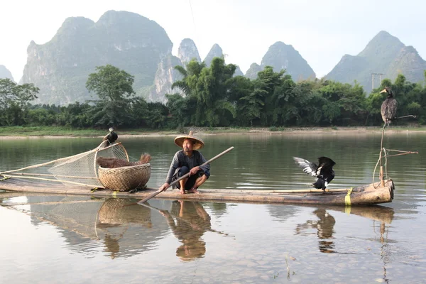YANGSHUO - 18 GIUGNO: Uomo cinese pesca con cormorani uccelli in — Foto Stock