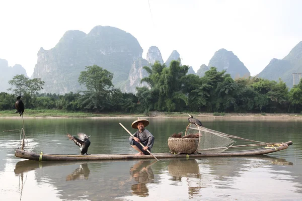 YANGSHUO - JUNE 18: Chinese man fishing with cormorants birds in — Stock Photo, Image