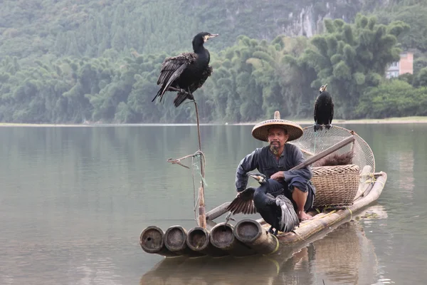 Chinese mens vissen — Stockfoto