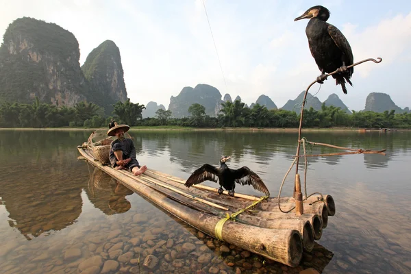 Chinese man fishing — Stock Photo, Image