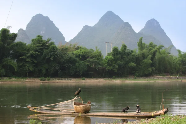 Boot met aalscholvers vogels — Stockfoto