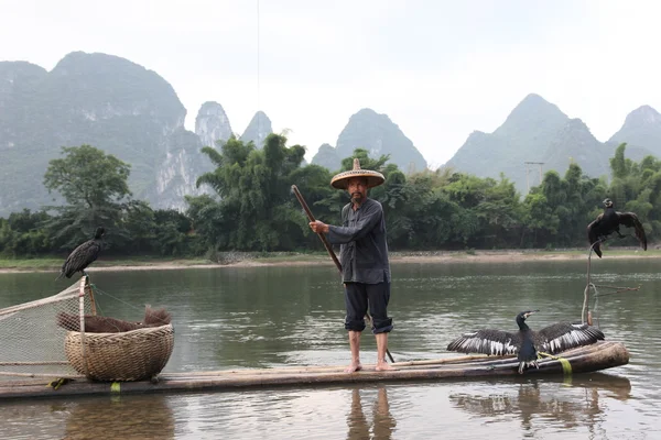 Číňan rybaření — Stock fotografie