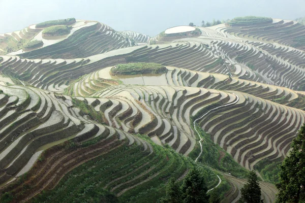 Terraços de arroz longji — Fotografia de Stock