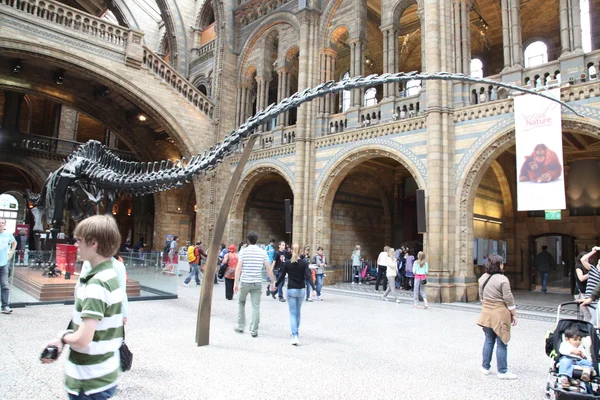 Interior view of Natural History Museum in London — Stock Photo, Image