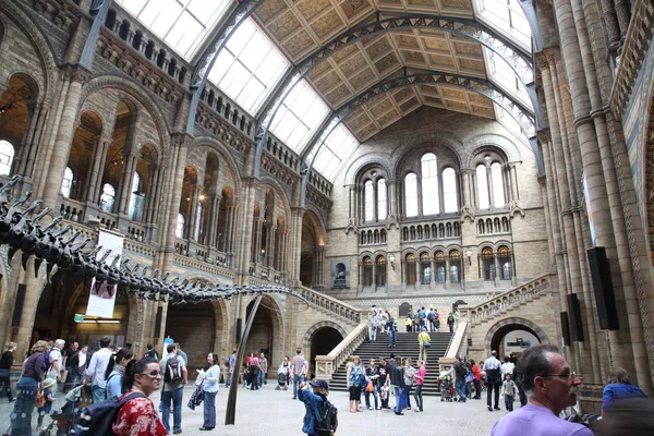 Interior view of Natural History Museum in London — Stock Photo, Image