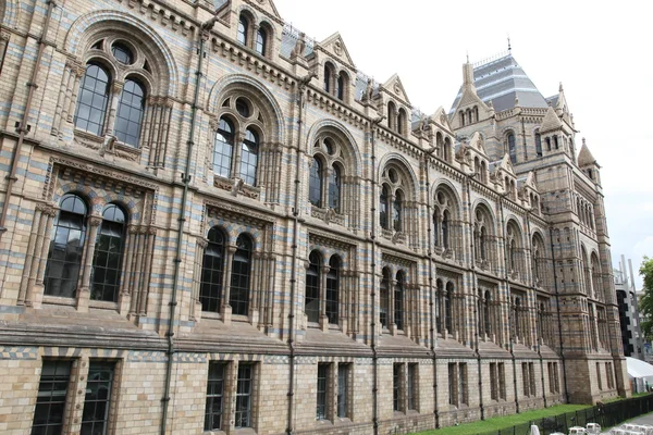 London - naturhistorisches museum - england — Stockfoto