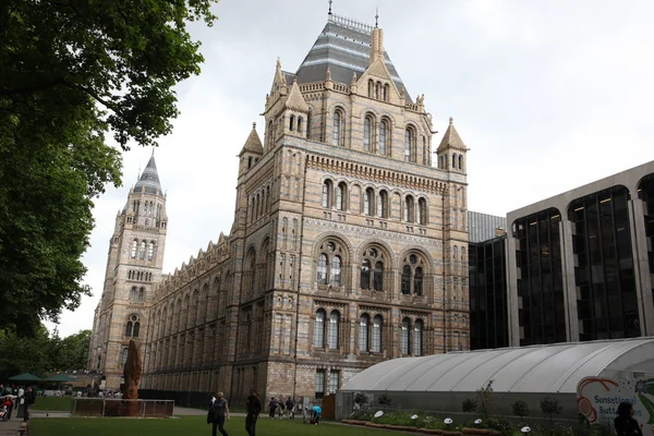 Londres - Natural History Museum - Angleterre — Photo