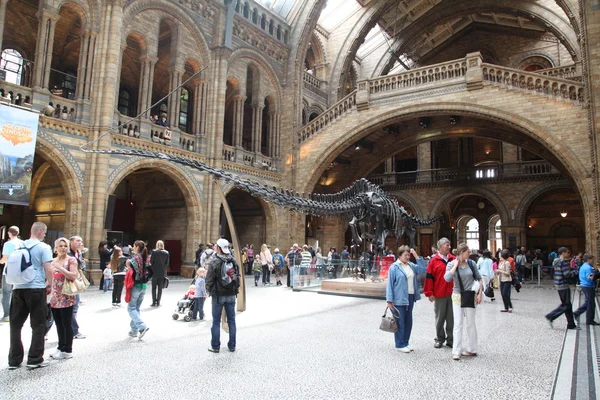 Vista interior del Museo de Historia Natural de Londres — Foto de Stock
