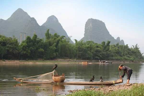 Číňan připravuje pro rybolov s kormorány ptáky — Stock fotografie