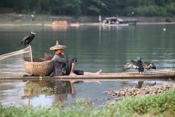 Uomo cinese pesca con cormorani uccelli — Foto Stock