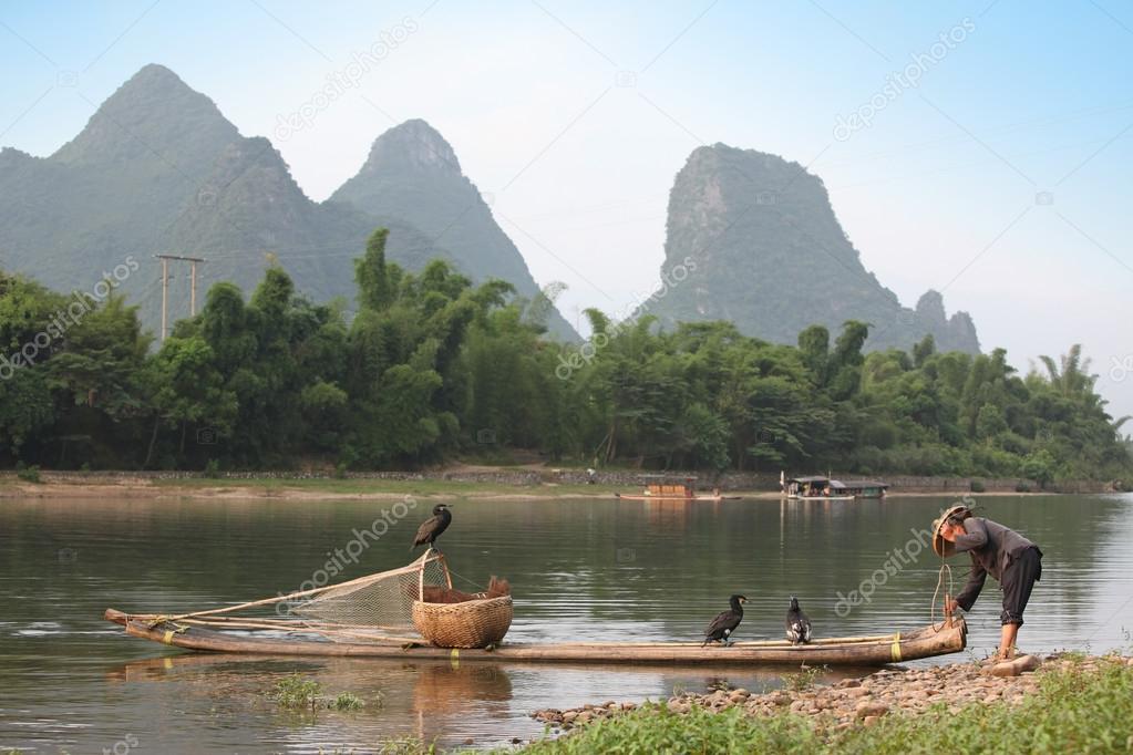 Chinese man preparing for fishing with cormorants birds