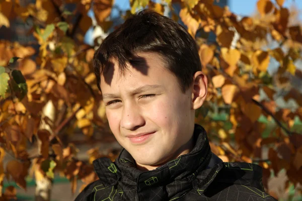 Jongen in de buurt van boom — Stockfoto