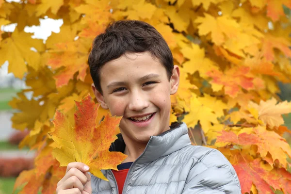 Boy with maple leaves — Zdjęcie stockowe