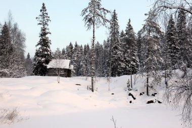 kış orman içinde yalnız ev