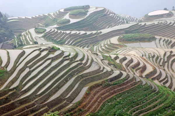 Terrazas de arroz Longji, provincia de Guangxi, China — Foto de Stock