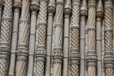 Doğal Tarih Müzesi Londra, İngiltere'de ' nın bir parçası