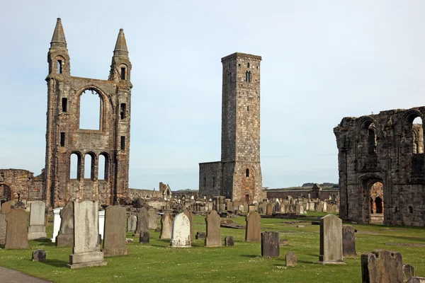 St andrews cathedral grunder, Skottland, Storbritannien — Stockfoto