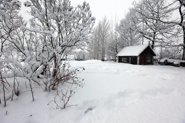 Inverno paisagem rural — Fotografia de Stock