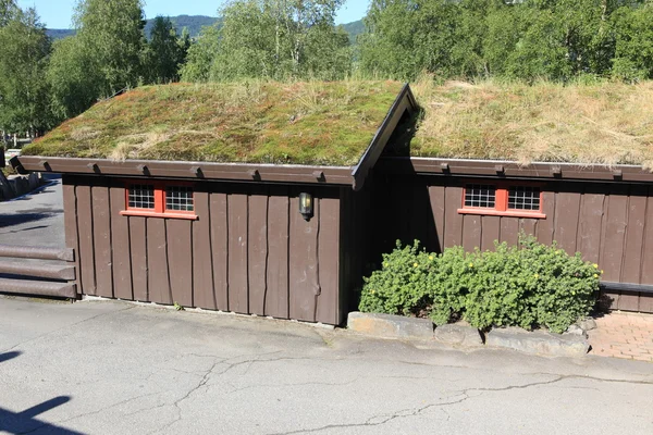 Pequeñas casas con techos tradicionales de hierba noruega — Foto de Stock