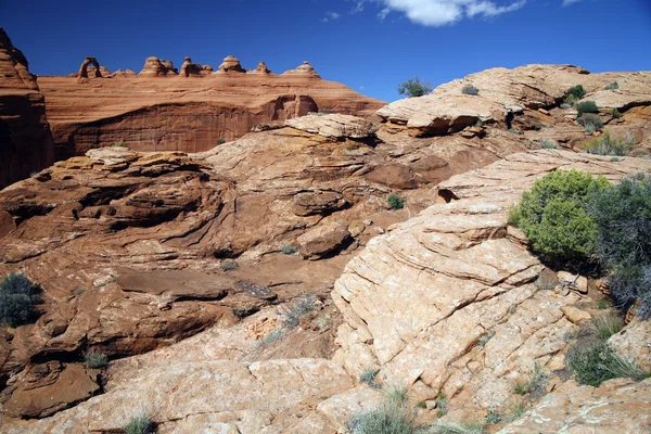 Arches national park nära moab, utah — Stockfoto