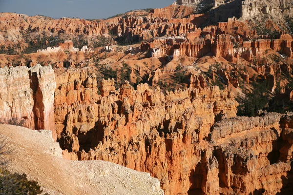 Bryce canyon hoodoos, utah, Stati Uniti — Foto Stock