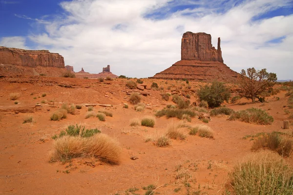 Monument valley, woestijn canyon in utah, Verenigde Staten — Stockfoto