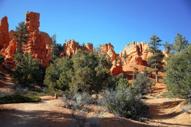 Bryce canyon hoodoos, utah, ABD
