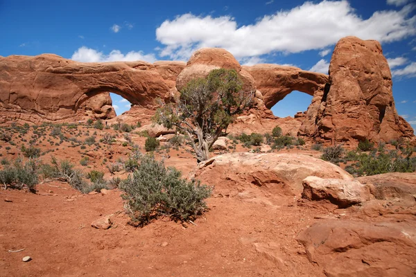 Arches National Park near Moab, USA — стоковое фото