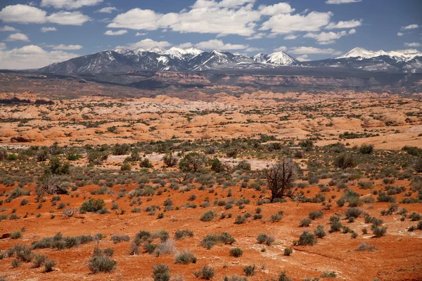 Táj az arches nemzeti park Utah, Amerikai Egyesült Államok — Stock Fotó