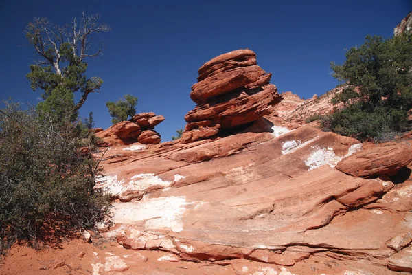 Rock in Zion National Park, Utah, EUA — Fotografia de Stock