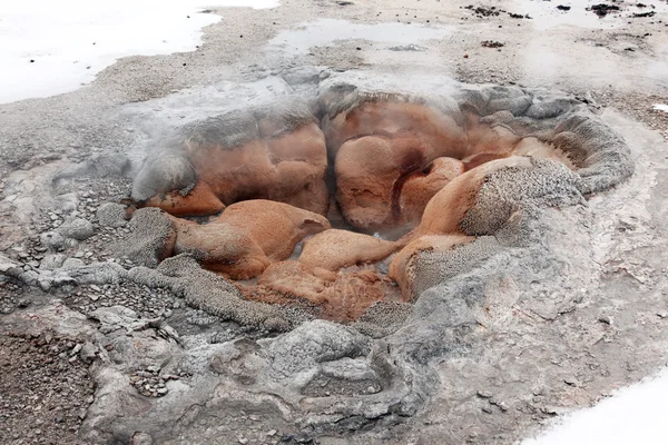 Hot geyser in Yellowstone NP USA — Stock Photo, Image