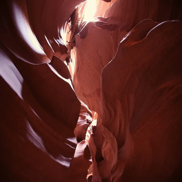 Upper Antelope Canyon in Page, Arizona, United States — Stock Photo, Image