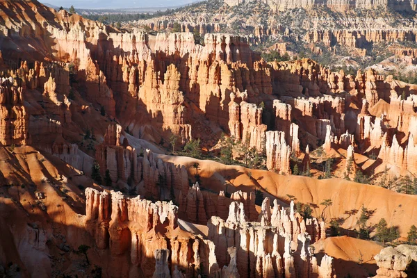 Bryce canyon hoodoos, utah, Stati Uniti — Foto Stock