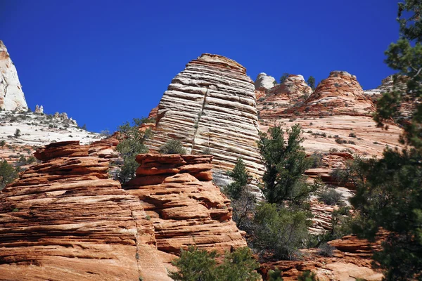 Zion national park, Amerika — Stok fotoğraf