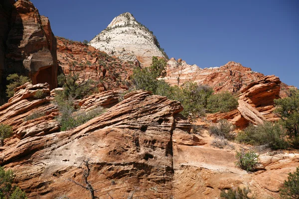 Rock in Zion National Park, Utah, EUA — Fotografia de Stock