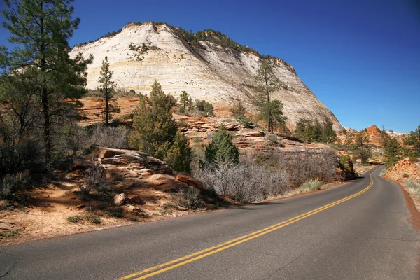 Road in the USA, Zion NP, USA — Stock Photo, Image