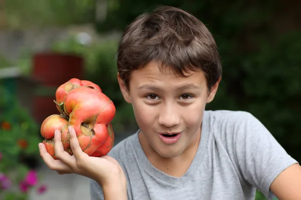 Bonito menino segurando tomates grandes — Fotografia de Stock