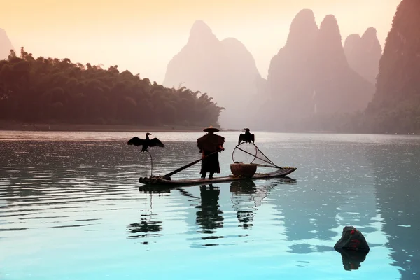 Chinese man fishing with cormorants birds — Stock Photo, Image