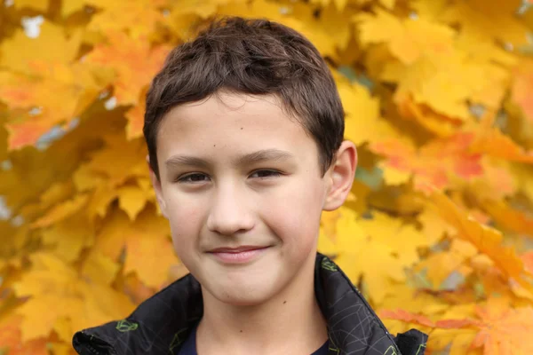 Ragazzo a foglia d'acero in caduta — Foto Stock