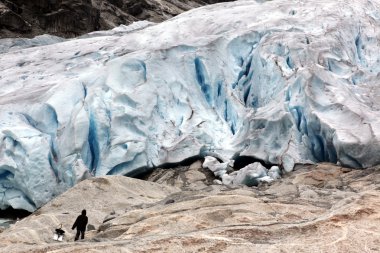 briksdalsbreen Buzulu