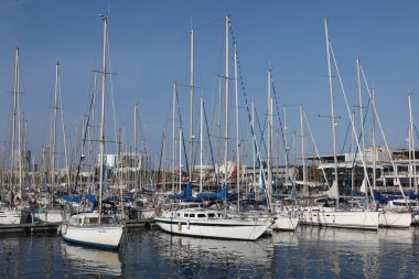 Barselona marina