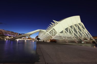 Valencia Sanat ve Bilim Şehri.