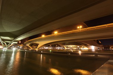 Valencia Sanat ve Bilim Şehri.