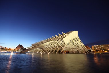 Valencia Sanat ve Bilim Şehri.