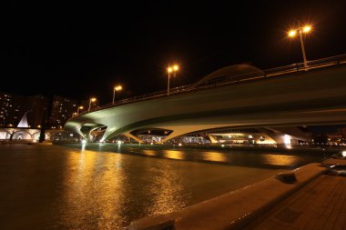 gece vakti at Valencia mimarisi