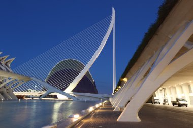 Valencia Sanat ve Bilim Şehri.