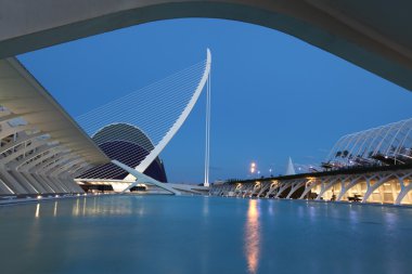 Valencia Sanat ve Bilim Şehri.
