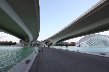 Şehir, sanat ve sosyal bilimler, valencia, İspanya