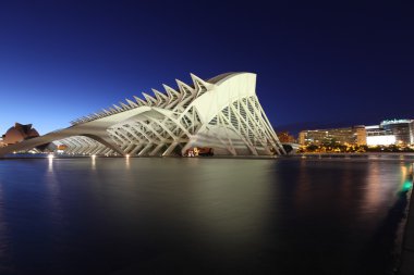 Valencia Sanat ve Bilim Şehri.